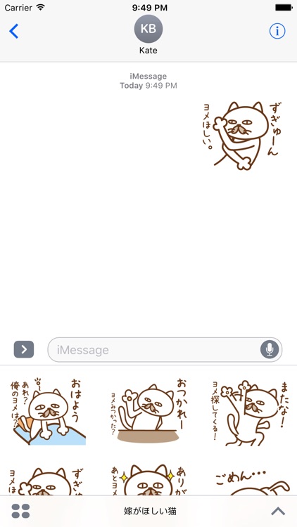 嫁がほしい猫
