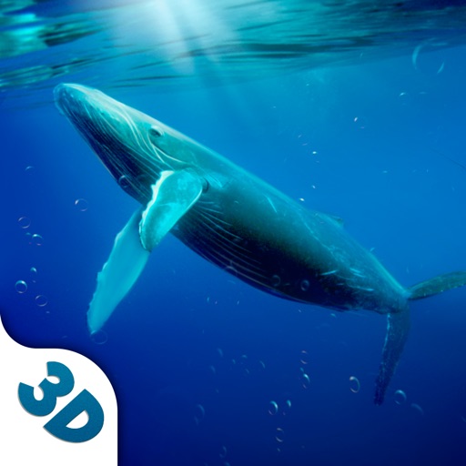 Big Whale Ocean Life Sim 3D Icon