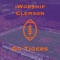 The Clemson Tiger football fan's ultimate pocket reference to all things Clemson football