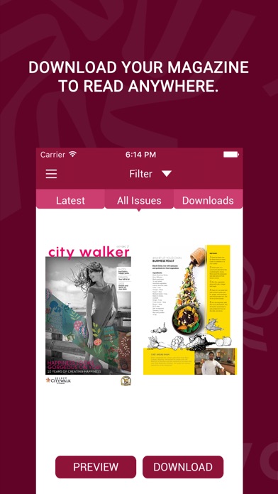 CityWalker Magazine screenshot 4