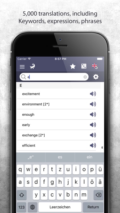 Dictionary Romansh English