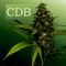 CDB (Cannabis-Daten-Bank) beinhaltet eine exklusive Datenbank mit ca