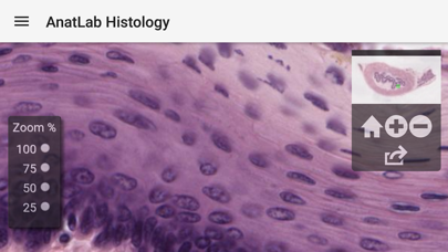 How to cancel & delete AnatLab Histology from iphone & ipad 3