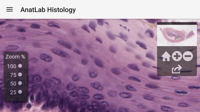 AnatLab Histology(圖3)-速報App