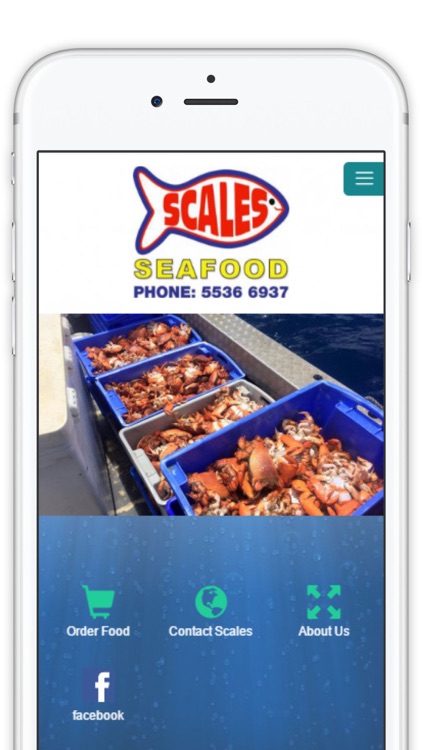 Scales Seafood - Fresh is best