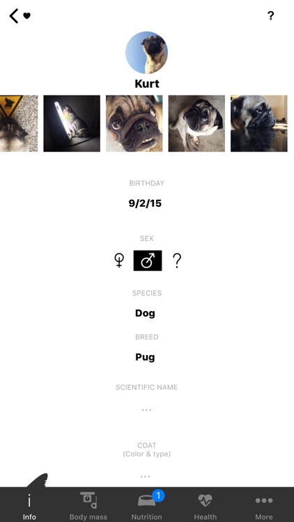 Landhaie - Pet Organizer