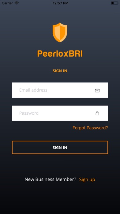 Peerlox BRI screenshot 2