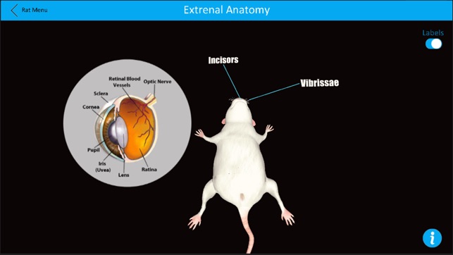 Dissection Lab(圖6)-速報App