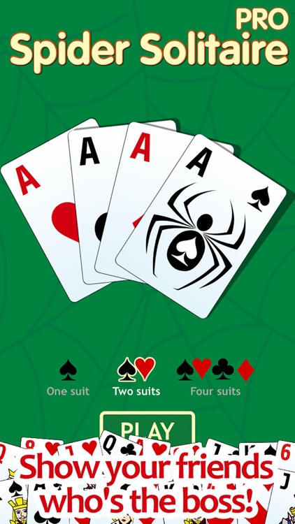 Spider solitaire PRO - classic popular game