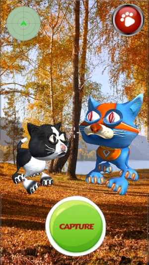 Tinny Lost Kittens: Catch Them(圖2)-速報App