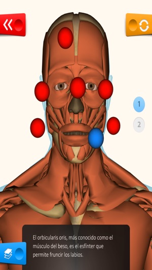 Educa Explorer Cuerpo Humano.(圖3)-速報App