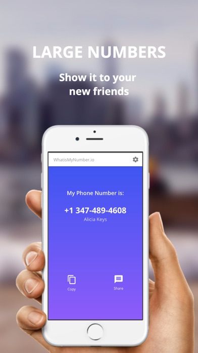 My Number - whatismynumber.io: find phone number Screenshot on iOS