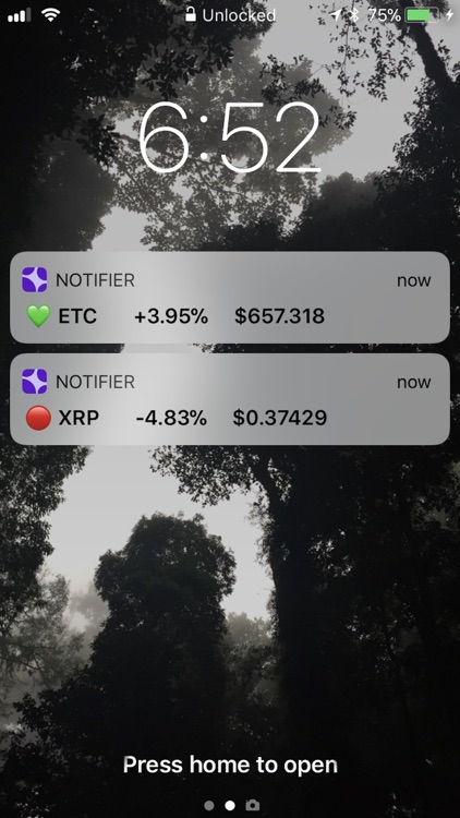 Bitcoin Burst Alert screenshot-0