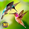 Tiny Humming Bird Simulator