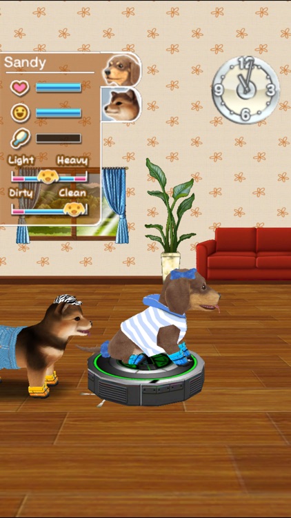 My Dog My Room Premium screenshot-4