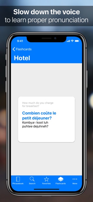 SpeakEasy French(圖4)-速報App