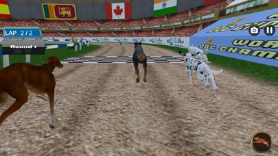 Dog Racing Tournament 2018 screenshot 5