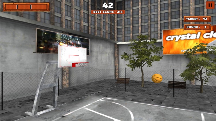 Basketball Shooting Hoops screenshot-4