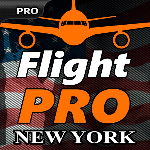 Pro Flight Simulator New York