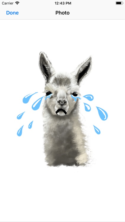 Real Llama Stickers