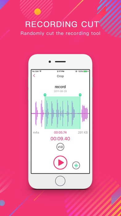 Voice Recorder - Audio Memos & Record Meetings screenshot 2