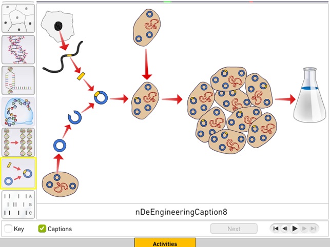 DNA from Sunflower Learning(圖6)-速報App