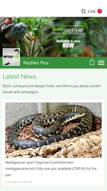 Reptiles Plus