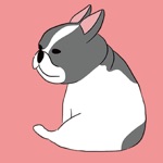 French Bulldog Stickers ！