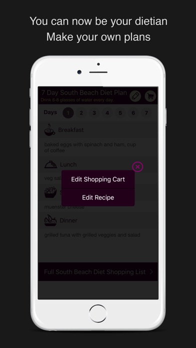 South Beach Diet 7 Day plan screenshot 2