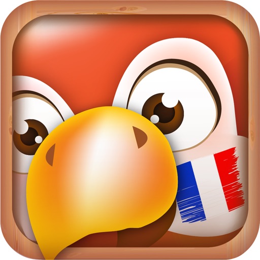 Learn French Phrases & Words Icon