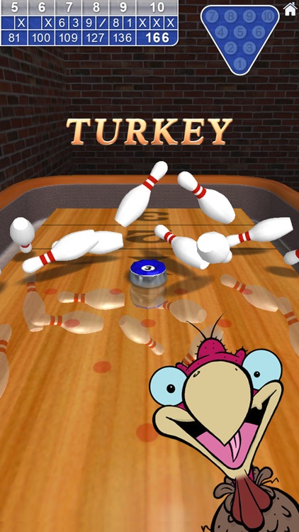 10 Pin Shuffle Pro Bowling
