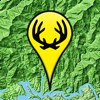 no app image