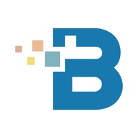 Bluebelt Recuitment PC 용