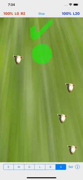 Game screenshot Flocky Count Your Sheep apk