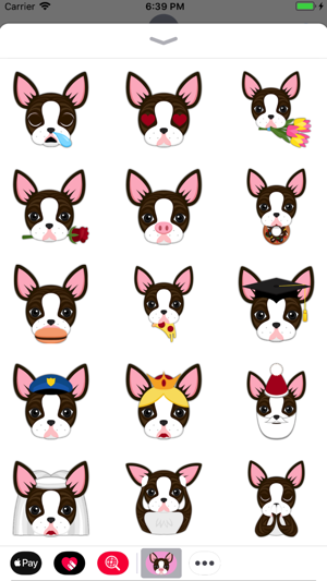 Animated Brindle Boston(圖1)-速報App