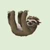 Slow Sloth Stickers