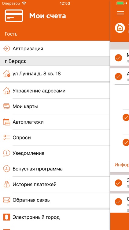 Мои счета - Электронный город
