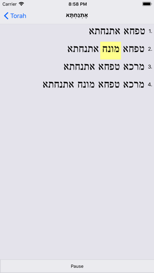 PocketTorah Trope