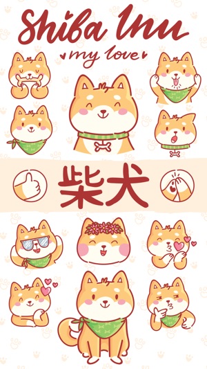 Shiba Inu!