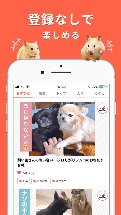 PECO(ペコ):いぬねこペット動画