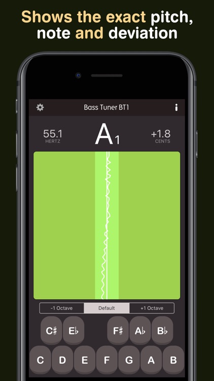 Bass Tuner BT1 Pro
