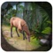 Forest Deer Sniper 18 is an amazing and addictive action pack game to take you to an ultimate adventure in the most realistic environment with trees, grass, outdoor, mountains etc