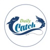 DailyCatch