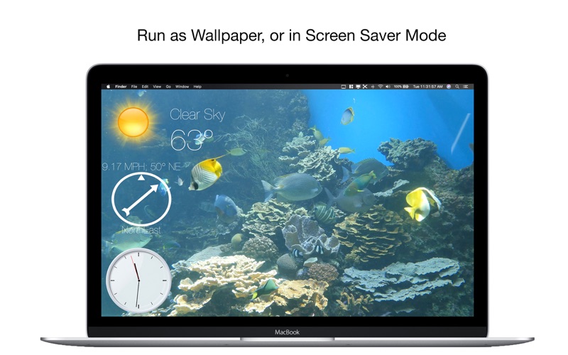 Aquarium 4K - Live Wallpaper Screenshots