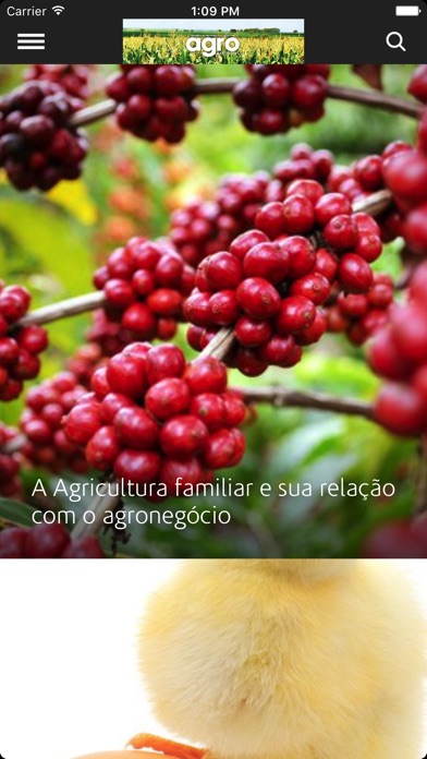 Revista Agro&Negócios screenshot 4