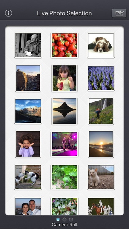 Unlive - HD export Live Photo