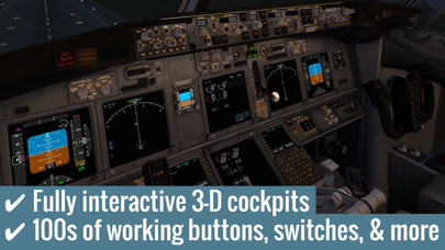 X-Plane 10 Flight Simulator Screenshot 1