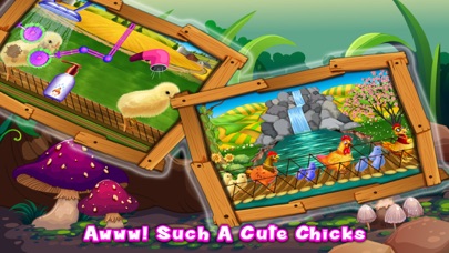 Chicks Poultry Factory screenshot 5