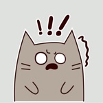 Gray Cat Animated Stickers