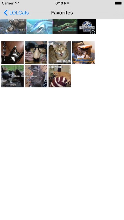 LOLCats - Funny Cat Pics